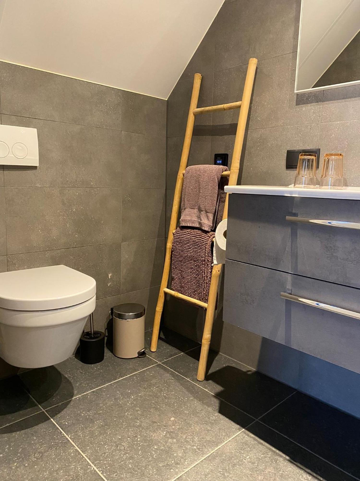 Diffelen B&B Het Nijenhuis المظهر الخارجي الصورة